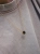 Minimalist necklace with dark stone