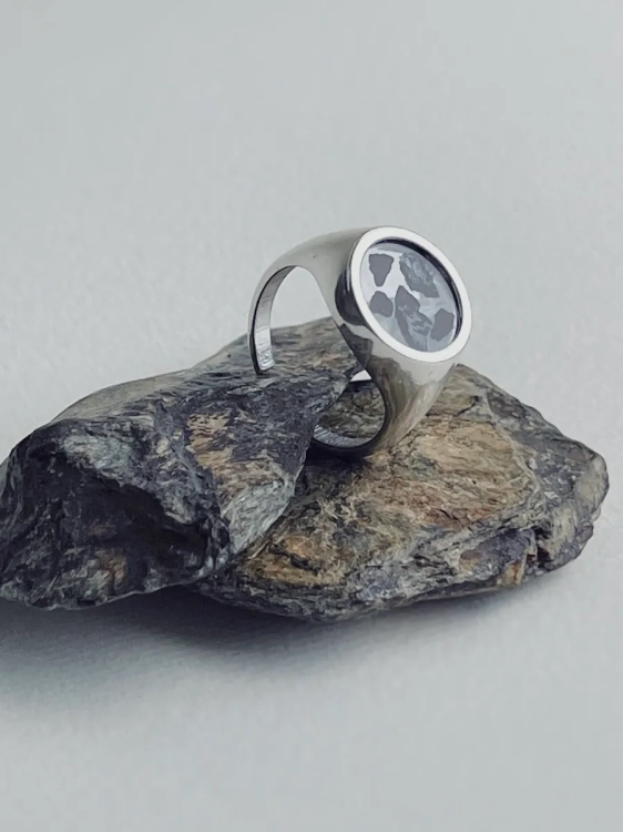 Meteorite signet ring in sterling silver, close-up detail