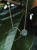 Natural Polish nephrite jade stone close-up in gold setting