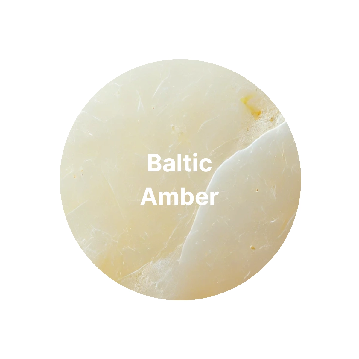 Baltic amber